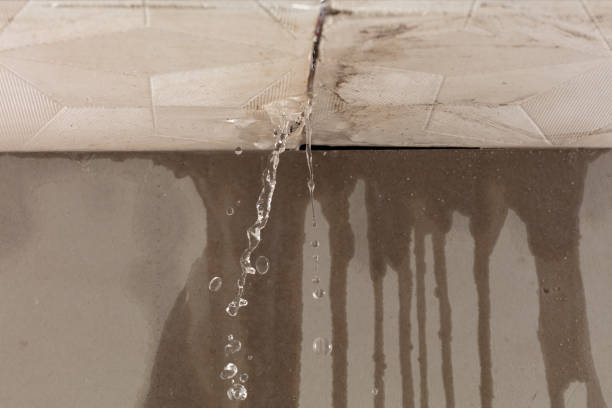 Professional Water Damage Repair technician working in Waite, ME